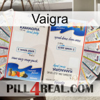 Vaigra kamagra1
